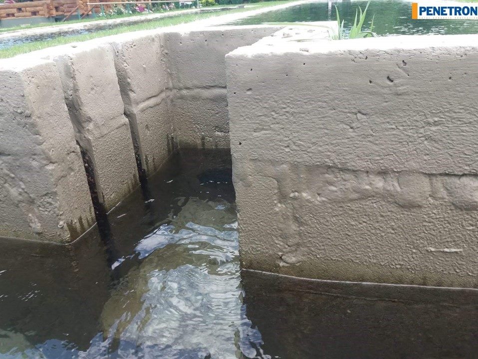 33984502_1750870014989760_7430855302586564608_n